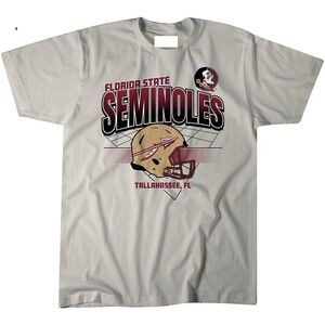 Florida State Football Helmet Grid